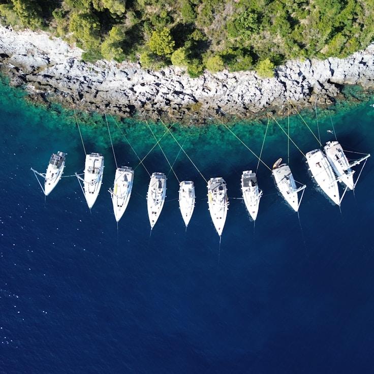 Ocean escapade